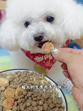 蓝氏真鲜狗粮19块9到手一斤!赶紧找朋友帮忙薅吧!#狗粮 #蓝氏狗粮 #蓝氏 #养狗人 #狗粮推荐