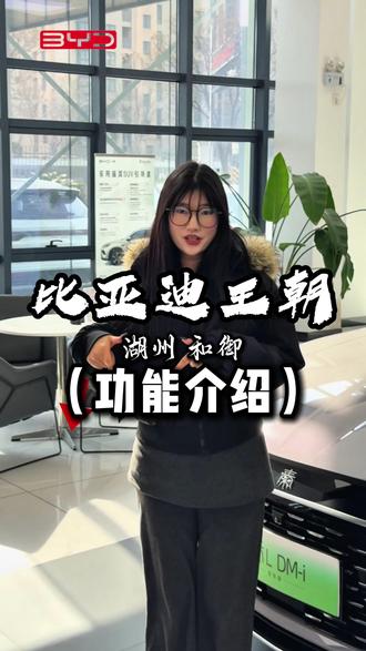 比亚迪这些隐藏功能你们知道吗#比亚迪 #湖州 #原创 #一般人不告诉他