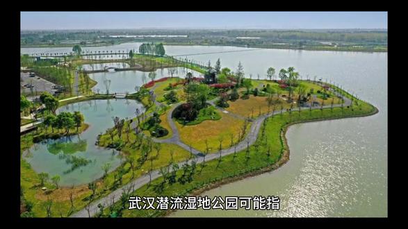 武汉潜流湿地公园可能指的是坛山岛人工湿地公园,以下是其详细介绍:
1. **地理位置**:位于武汉市汉南区纱帽街道坛山岛与马影河干流交汇处。
2. **规模面积**:总占地面积约52.51公顷,是武汉市目前最大的人工湿地公园。
3. **功能分区**:
- **水质净化区**:包括潜流湿地、表流湿地、生态塘、高效沉淀池等,通过多种湿地形式对水进行净化处理,提升马影河的水质。
- **生态休闲区**:位于坛山岛外部环线区域,有环岛绿道、休闲场地及配套设施,设有足球场、篮球场、羽毛球场、门球场、水吧、儿童乐园等功能活动区,为市民提供休闲娱乐场所。
- **外部缓冲区**:在坛山岛边界与马影河交接区域,布置水生与湿生生态植物景观,起到缓冲和保护作用。
4. **特色景观**:
- **潜流湿地**:面积达到10万余平米,比7个国际标准的足球场还要多出近3万平米,是武汉最大面积的潜流湿地,如同人体的“肾脏”,可将脏水污水过滤净化为达标的清水。
- **湿地荷花园**:面积为1万平米,种植着大片荷花,夏季时荷花盛开,景色宜人,是市民赏花的好去处。
- **湿地芦苇园**:面积6500平米,芦苇随风摇曳,形成了一片独特的自然景观,展现了湿地的生态之美。
- **湿地生态塘**:水域开阔,周边植被丰富,吸引了众多鸟类栖息,充满自然野趣。
综上所述,武汉潜流湿地公园是一个集生态保护、休闲娱乐、科普教育于一体的综合性公园,对于改善城市生态环境、提升居民生活质量具有重要意义。