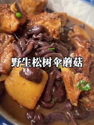 东北纯野生的松树伞蘑菇,肉嘟嘟的,特别好吃,人工采摘人工挑选的,回去用水泡一下,炖个土豆,炒个辣椒,炖个小鸡嘎嘎香#下饭菜 #美味又下饭#松树伞 #野生松树伞蘑菇 #无限回购的宝藏单品