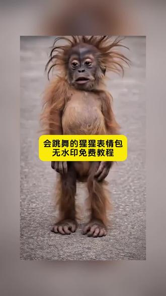 猩猩跳舞转场素材
猩猩跳舞素材
猩猩跳舞转场原视频
猩猩跳舞转场教程
猩猩跳舞转场
猩猩跳舞
#猩猩跳舞转场怎么拍
猩猩跳舞视频
猩猩跳舞转场怎么剪辑
猩猩跳舞转场的音乐
#猩猩跳舞转场 #会跳舞的猩猩搞笑视频 猴子跳舞动态表情包#猴子跳舞视频 猴子跳舞敲打模仿 猴子搞笑表情包#表情包