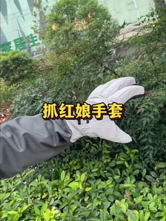 抓马蜂时要保护好手部,可以带上这款红娘手套#红娘手套 #抓马蜂手套 #抓马蜂