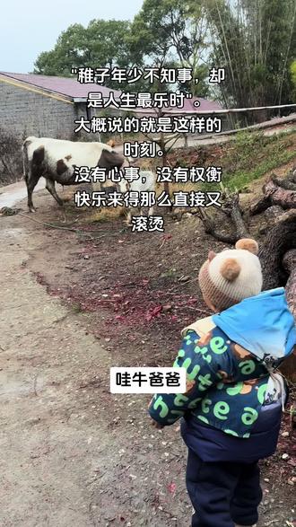 "稚子年少不知事,却是人生最乐时"。大概说的就是这样的时刻。没有心事,没有权衡,快乐来得那么直接又滚烫