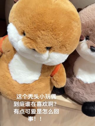 水獭玩偶#爱了爱了 #少女心爆棚 #萌宠 #这也太可爱了吧 #可爱到爆炸💥