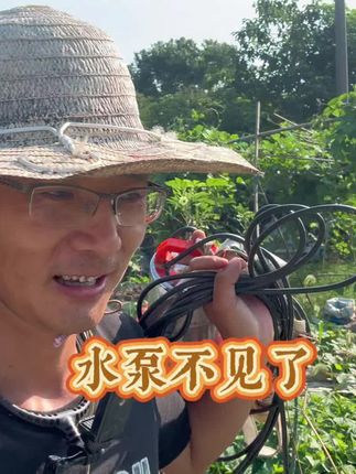上菜地浇水发现水泵不见了#记录真实生活 #我的乡村生活 #田园生活 #我的小菜园 #新农人计划2025