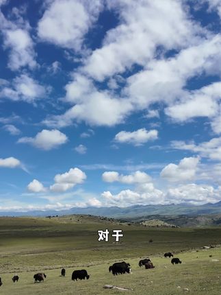 便携制氧机怎么选?内行人不会告你的个避坑指南 #家用制氧机 #家用制氧机的使用方法 这款设备能随时供氧!#好物推荐🔥 #制氧机 #吸氧