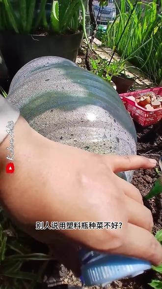 塑料瓶种菜被吐槽?看看我的小菜园,垂直种菜太省地了 #塑料瓶改造 #垂直种植 #阳台种菜 #变废为宝