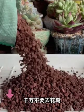 云南腾冲火山石颗粒多肉花卉拌土兰花铺面鱼缸底沙滤材铺面石#火山石 #火山石颗粒 #云南腾冲火山石颗粒 #火山石颗粒底砂 #火山石颗粒盆栽铺面