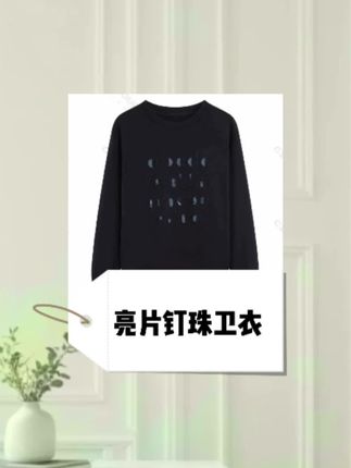 川禾织衣 早秋字母亮片钉珠卫衣 女2025秋季新款 兰精天丝长袖圆领时尚百搭打底#卫衣#气质百搭#亮片字母卫衣#通勤#休闲@抖音创作小助手