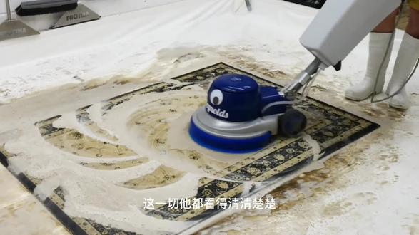 大道争锋05#大道争锋 #一口气看完 #张衍