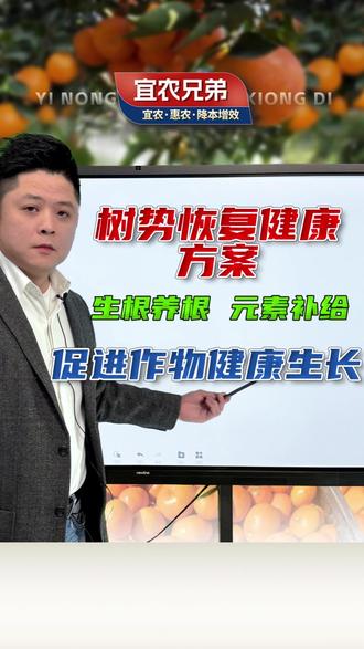 种植最怕的是黄叶早衰根系差,黄化反复难改善,选对方案恢复树势。#宜农兄弟 #柑橘种植 #果树管理 #农业种植 #土壤改良