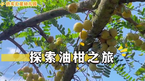 幼儿园小朋友油甘园之旅#应季水果 #抖音新农人