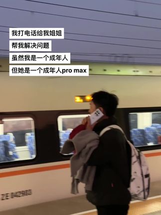 我姐姐是成年人pro max. #姐弟#歌曲打火机