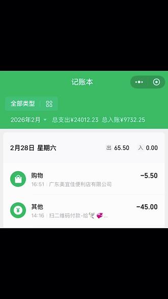 26年不是才刚开始吗?#钱去哪了 #记账本