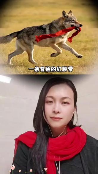 #乌兰巴托的夜
#格林 让我潸然泪下,深深打动,因为格林的故事🥹,恋上一首歌