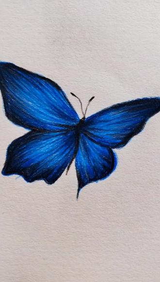 #彩铅手绘 蝴蝶画法的教程,一起画吧~