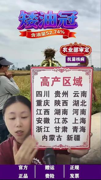 矮杆油菜籽!抗菌核病还高产,含油量超52%!