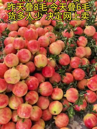 #软籽石榴大丰收了 #软籽石榴成熟了 #现摘现发新鲜到家 #新鲜采摘新鲜发货 #新鲜应季水果