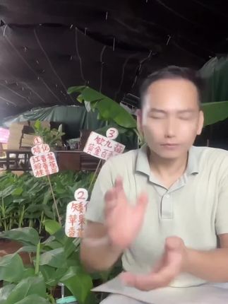 #三农#抖音新农人#种植小技巧#果苗供应#如果丰收农作物会说话