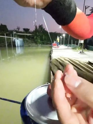 钓鲫鱼很强的南瓜酥虾拉,这样开闭着眼睛也能拉,味道鲜,状态Q弹不反水展开 #钓鱼技巧