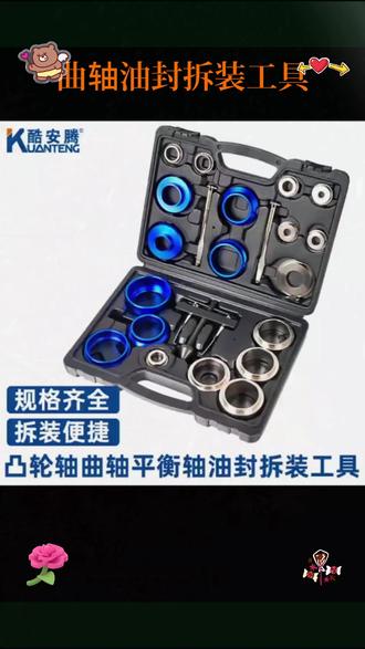 一套专业工具搞定曲轴,凸轮轴,平衡轴油封的拆卸更换,提升汽车维修效率与质量! #气门油封工具 #五金工具 #汽修工具 #汽保工具 #维修保养