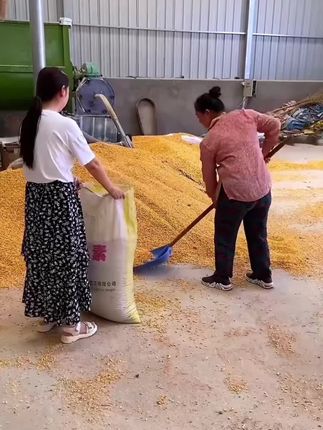 #撑袋架 #装袋支架 #农民好帮手 #省时省力省人工 #超便宜超划算