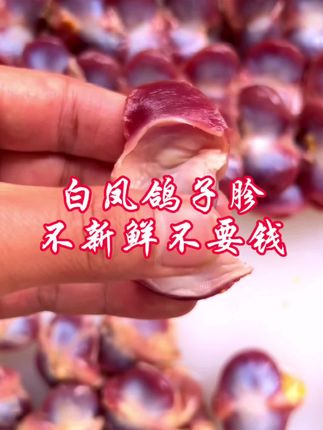 鸽子胗营养更健康,老少皆宜,五谷杂粮喂养,没吃过的来上一单尝一尝!#小郡肝 #鸽子