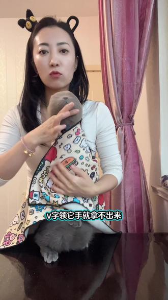 控猫大法来了#刘七号 #控猫大法 #包猫布 #控猫术