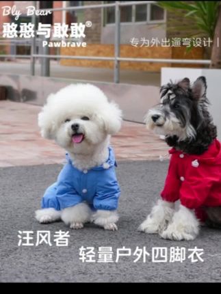汪风 狗狗轻量户外四脚衣 酷酷哒#狗狗冲锋衣#狗狗好物#新手养狗