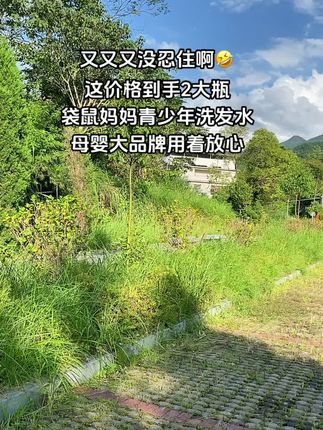 #袋鼠妈妈青少年洗发水 #洗发水 #学生党好物推荐 #青春期 #无限回购的宝藏单品