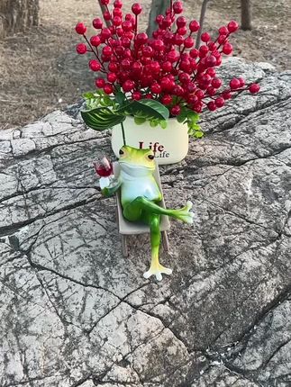 我太喜欢这个青蛙躺椅了,又丑又萌还可爱,放在院子里或者阳台上,晒着太阳喝着茶,别提多舒服了。