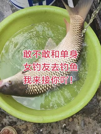 #户外钓鱼 #钓鱼人 #钓鱼 #钓鱼的乐趣只有钓鱼人懂 #日常分享