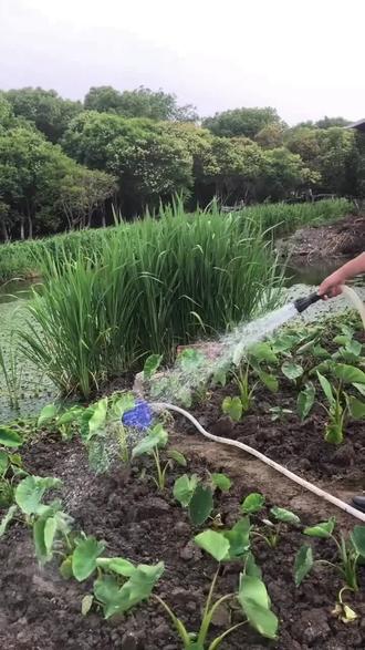 @巨量千川 #充电式潜水泵 #水泵 #潜水泵 #农田灌溉 #抽水机 潜水泵充电式水泵家用抽水浇菜12v24v大功率花园便携式户外抽水泵