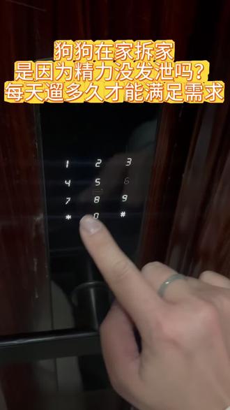 #创作灵感 #宠物用品店 裸辞在哈尔滨开家宠物用品店