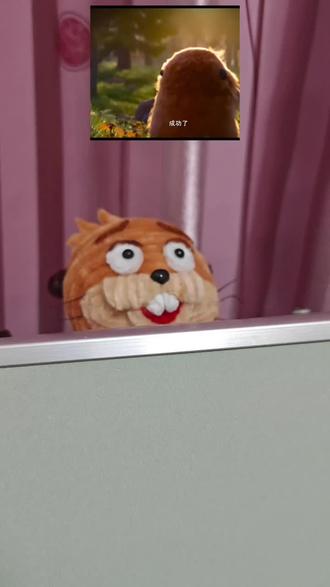 扭扭棒教程丨河狸变身计划丨梅宝🐹·上 河狸—梅宝:
鼻子:1cm✖️0.7cm;
瞳孔直径:0.5cm;
眼白直径:1.5cm左右;
睫毛长:2cm左右;
眉毛长:1.5cm;
胡须长:2~3cm✖️5根;
鼻子到下巴:3.2cm;
人中宽:1cm;
上唇长:4.5cm;
上唇宽;1.3cm左右;
左牙齿:0.8cm✖️0.8cm;
右牙齿:0.7cm✖️0.7cm;
耳朵:1cm✖️1cm。
#扭扭棒教程 #迪士尼 #皮克斯 #河狸变身计划 #河狸梅宝