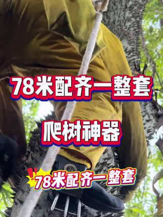 78元爬树猫爪神器,给你配好一整套安全绳,好用不贵,大神都在用#猫爪 #爬树猫爪 #爬树神器 #爬树神器猫爪 #爬树高手