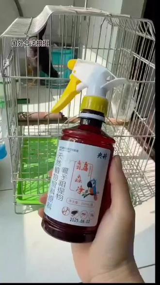 #鸟用驱虫喷雾 鸟类通用亮羽鸟蟲净体内外驱虫直接喝驱虫喷雾无害虱子啄羽预防#鸟驱虫喷雾 #鸟用驱虫喷剂
