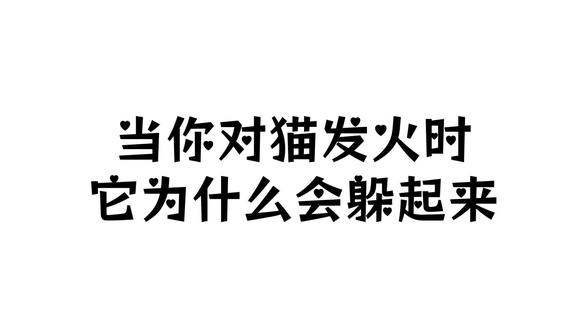 当你对猫发火的时候,它为什么会躲起来?#宠物 #宠物猫 #猫 #猫咪 #养猫人