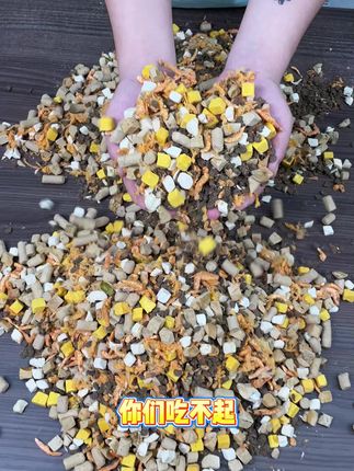 #猫粮 闯荡猫粮为了给猫猫吃的好有点多努力 不仅品质好 价格还实惠呢真的可以给猫猫试试哦#猫粮推荐 #宠物食品 #冻干 #闯荡猫粮