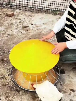 喂家禽鸡鸭鹅喂料桶自动采食器重力下料家禽饲料槽喂鸡神器散养 #喂家禽鸡鸭鹅喂料桶自动采食器#重力下料家禽饲料槽#喂鸡神器散养