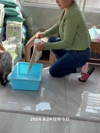 去年的猫砂用到现在
