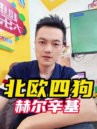 北欧四狗确实是有说法,万万碰不得!!#北欧四狗 #赫尔辛基 #芬超