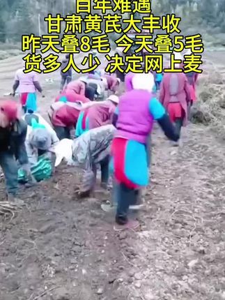 #黄芪 #正宗甘肃岷县黄芪 #黄芪泡水 煲汤好帮手#优质农产品原产地