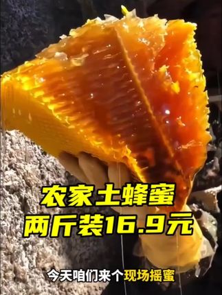 #创作灵感 农家土蜂蜜,天然土蜂蜜,原生态零添加。#农家土蜂蜜 #纯天然无添加 #蜂蜜 #纯正正宗蜂蜜