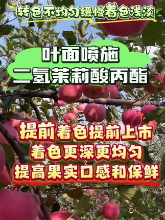 苹果上色快,着色均匀,#苹果上色