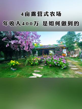 4亩地的农场一年收入四百万如何做到的#农场 #乡村振兴