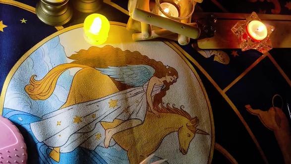 重返狼群#塔罗 #格林#李微漪和格林的故事