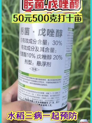 肟菌戊唑醇水稻防三病500克打10亩地 #水稻种植#肟菌戊唑醇 #纹枯病#稻曲病#稻瘟病