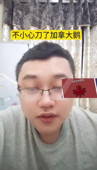 不小心刀了加拿大鹅 #鹅鸭杀 #鹅鸭杀破壳计划 #玩转鹅鸭杀手游
