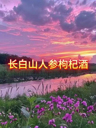 #长白山人参枸杞酒#人参枸杞酒#人参酒